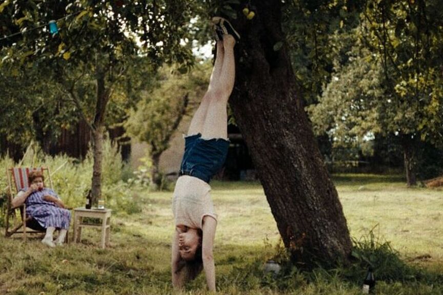 Szene aus dem Film "In die Sonne schauen"